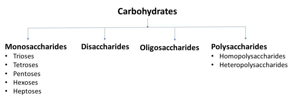 Carbohydrates: Introduction, Classification, Chemical Nature And ...