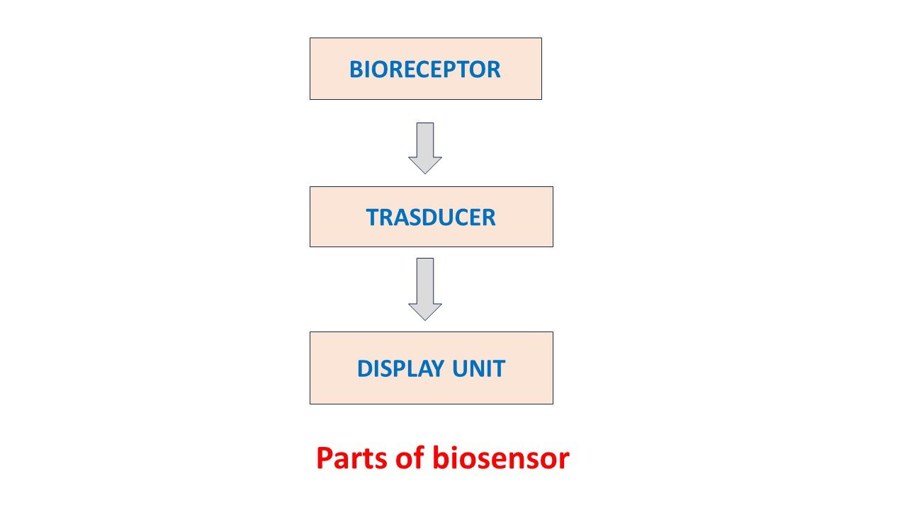 Biosensors » PHARMACAREERS