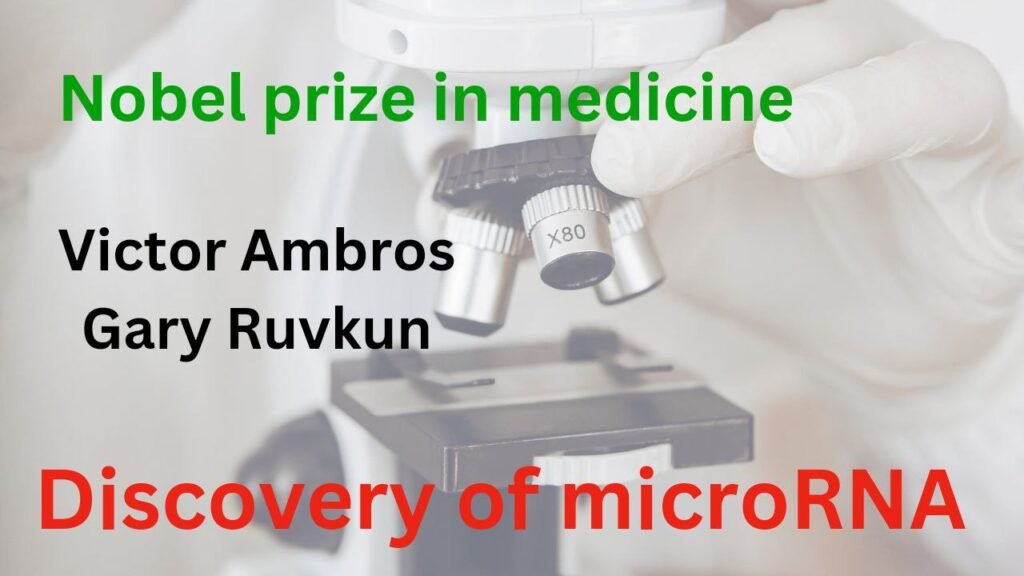 Nobel Prize 2024 Celebrating The Groundbreaking Discovery Of MicroRNA